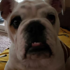 Meet your Posher, Tanya